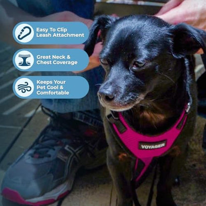 Best Pet Supplies Voyager Step-in Lock Pet Harness w Reflective Pet Leash Combo Set with Neoprene Handle 5ft - Supports Small, Medium and Large Breed Puppies/Cats - Fuchsia/Black Trim Set, M