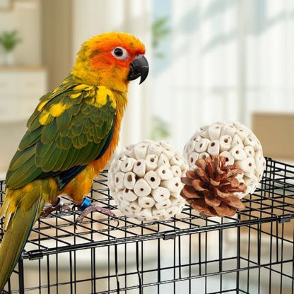 Kyouki Bird Toys Parrot Natural Bird Foraging Box Foot Toys for Parakeets,Cockatiels,Conures,Love Birds,and Other Small to Medium Birds (Large)