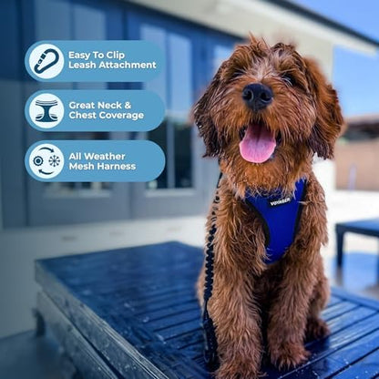 Best Pet Supplies Voyager Step-in Air All Weather Mesh Harness and Reflective Dog 5ft Leash Combo with Neoprene Handle, for Small, Medium and Large Breed Puppies - Royal Blue/Black Trim, X-Large