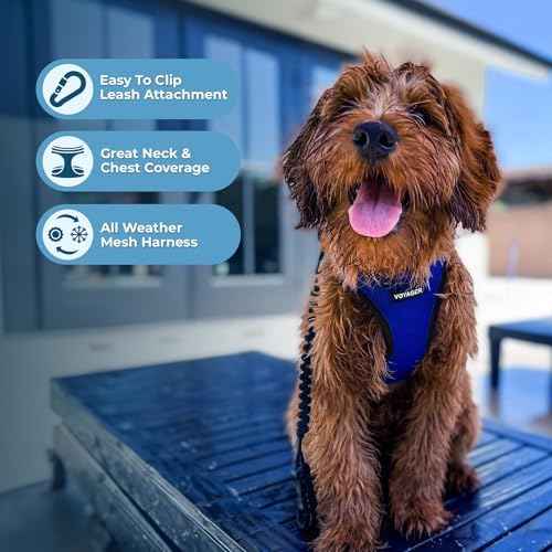 Best Pet Supplies Voyager Step-in Air All Weather Mesh Harness and Reflective Dog 5ft Leash Combo with Neoprene Handle, for Small, Medium and Large Breed Puppies - Royal Blue/Black Trim, Large