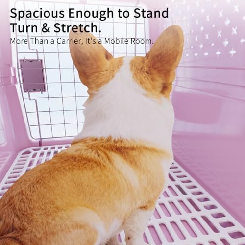 RIZZARI Hard-Sided Carrier: Opening Top Rolling Crate Ventilated 25 lbs