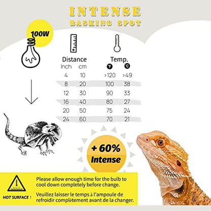 Basking Light for Reptiles, 2-Pack 100W Upgraded Intense Basking Spot, Reptile Heat Bulb Light, UVA Heat Lamp Bulbs for Bearded Dragon Turtle Chicken