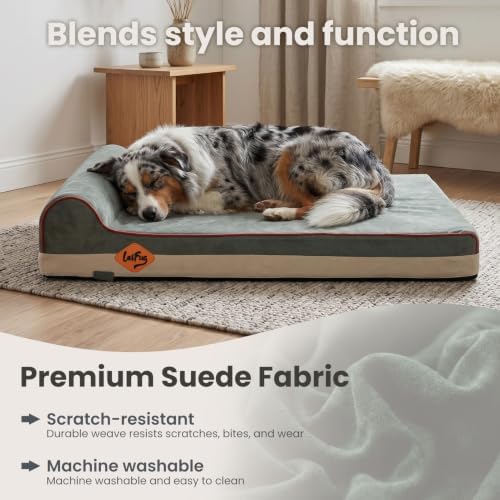 Laifug Orthopedic Memory Foam Dog Bed with Pillow and Durable Water Proof Liner & Removable Washable Cover & Smart Design Medium (34"x22"x5.5"), Dark Green