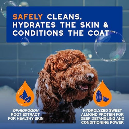DOUXO SPA 2 in 1 Dog Shampoo and Conditioner, 16 fl oz