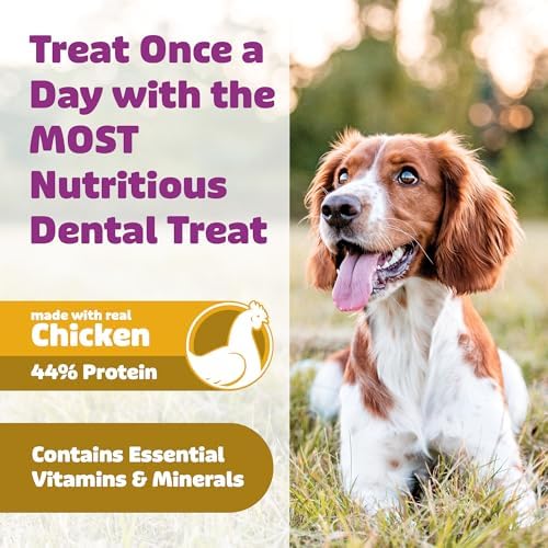 Yummy Combs Dog Dental Treats – Vet VOHC Approved, Removes Tartar & Cleans Teeth – Yummy High Protein Chicken Treat for Medium Dogs (Mini Pack, 9 Count)