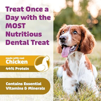 Yummy Combs Dog Dental Treats – Vet VOHC Approved – Delicious Chicken Protein – Removes Tartar with Cleaning Comb Shape – Dental Dog Treats for Medium Dogs (36oz, 45 Count)