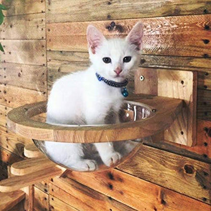 Wall-mounted Wooden Cat Space clear Capsule Cat Bed Small Pets Bed Cat Toy Cat Furniture(Large Capsule)