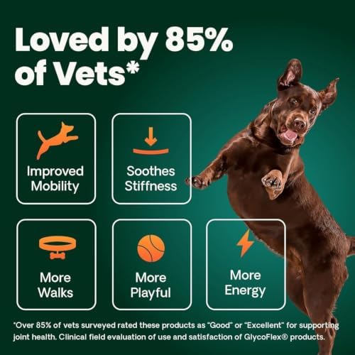 VetriScience Healthy Hip and Joint Tablets for Dogs, 2 Pack