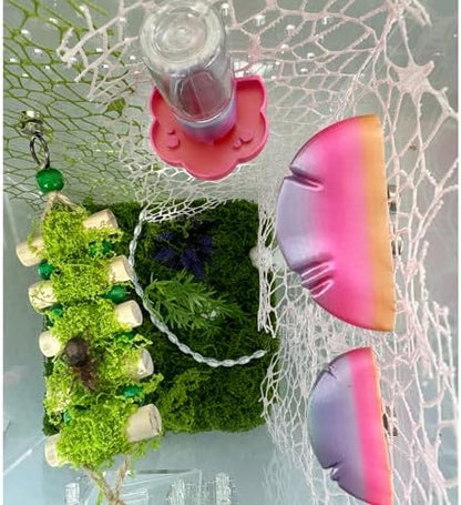 5Pcs Jumping Spider Accessories Set, Jumping Spider Enclosure Mushroom And Water Dispenser, Jumping Spider Web with Magnets, Jumping Spider Enclosure Climbing and Feeding Platforms (pink+purple)