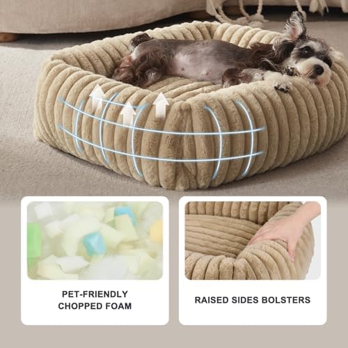FURTIME Dog Bed for Small Medium Dog, Washable Orthopedic Pet Bed with Removable Cover, Rectangle Soft Calming Sleeping Puppy Bed Durable Pet Cuddler with Anti-Slip Bottom, Beige, M (25"x21"x7")