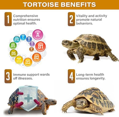 Gargeer 3oz Grassland Tortoise Multivitamins & Minerals Powder. Made in USA