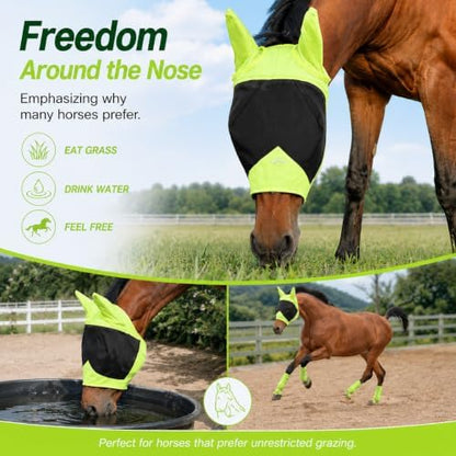 Horse Fly Mask for Horses with Ears