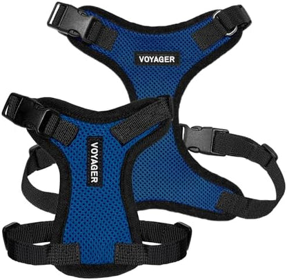 Voyager Step-in Lock Dog Harness - Royal Blue/Black Trim, X-Small