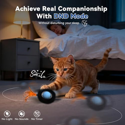 Interactive Cat Toy for Indoor Cats, Motion Activated Ball &7-Hole Maze Mat