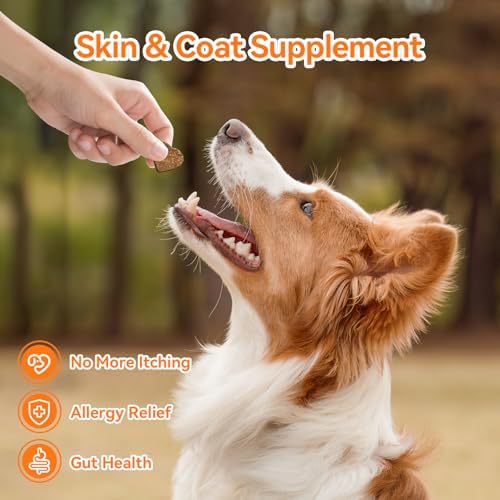 Dog Allergy and Immune Chews 200PCs Skin and Coat Itchy Relief Anti Itch Immune Bites for Dogs, Helps Repair Skin Ears Paw Licking, 5 Probiotics Blend Gut Health for Sensitive Seasonal Allergies