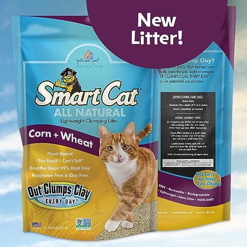 SmartCat All Natural Clumping Corn + Wheat Cat Litter, 20 Pound (320oz - 1 Pack) - Unscented and Clay Free