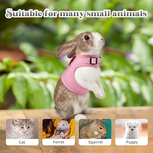 AIITLE Breathable Bunny Harness and Leash Set with Cute Bow, Pink L