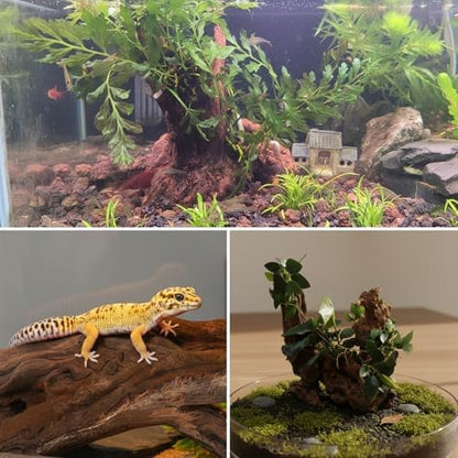 emours Driftwood Branches Reptiles Aquarium Decoration Assorted Size,(6-10 inch in Length),4 Pieces