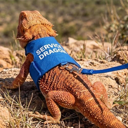 Bearded Dragon Harness and Leash Set, Escape Proof Reptile Vest