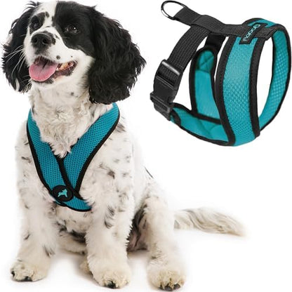 Gooby Comfort X Head-in Dog Harness, Choke-Free, Turquoise, Small