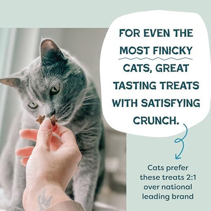 Shameless Pets Crunchy Cat_Treats - Catnip-Treats for Cats with Digestive Support, Kitten-Treats with Real Ingredients, Natural & Healthy Flavored Feline Snacks - Fintastic Catnip,(Pack of 2)