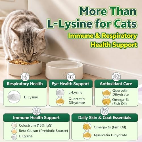 Lysine for Cats, L-Lysine for Cats Chews & Treats, 500 Ct, Immune Support