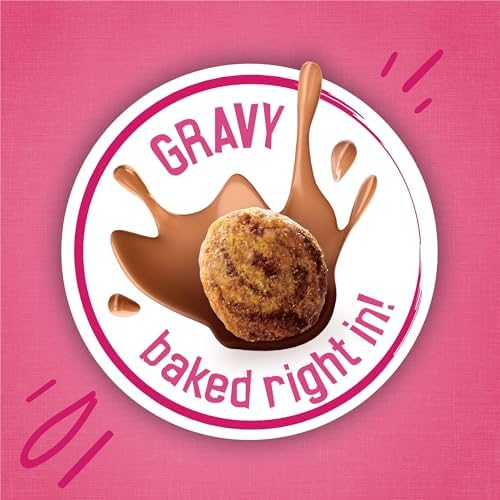 Friskies Purina Dry Cat Food Gravy Swirl'd with Flavors of Chicken, Salmon and Gravy - 3.15 lb. Bag
