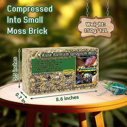 Riare 5.3oz Natural Sphagnum Moss for Reptiles- Terrarium Reptiles Moss