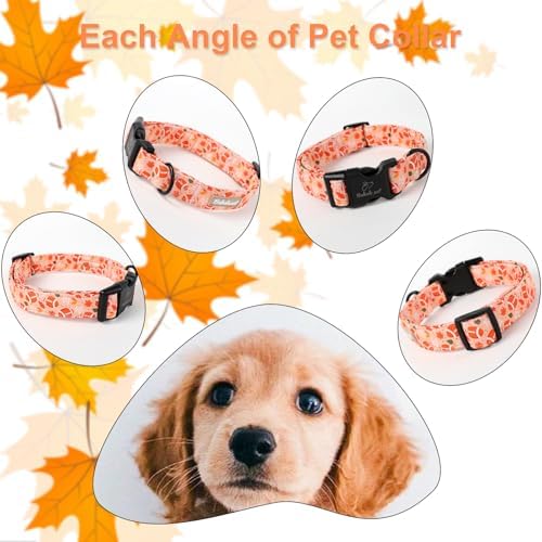 Fall Dog Collar, Cute Football Pattern Puppy Collar XS