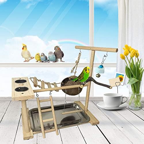 Hamiledyi Bird Playground Parakeet Play Stand Wooden Parrot Perch Gym