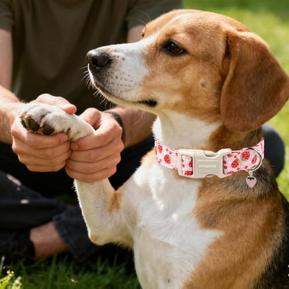 DOGWONG Cotton Handmade Daisy Flower Dog Collar Cute Pink Strawberries Dog Collars with Pendant for Girl Boy Dogs,M
