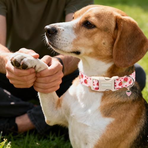 DOGWONG Cotton Handmade Daisy Flower Dog Collar Cute Pink Strawberries Dog Collars with Pendant for Girl Boy Dogs,L