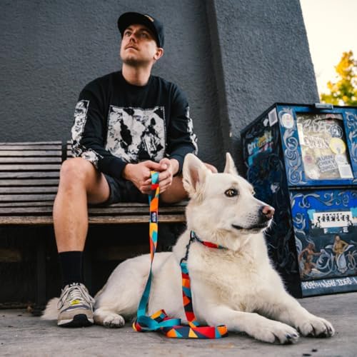 Wolfgang Heavy Duty Dog Leash, Pull-Tested to Over 800 lbs for Walking & Training, ShatterShapes Print, Dual-Handle Large