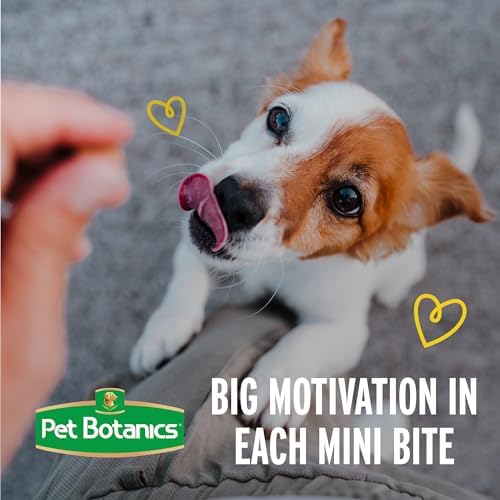 Pet Botanics Training Rewards Mini Soft & Chewy, Bacon Flavor, 10 oz