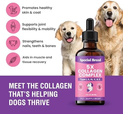 Premium Collagen for Dogs - Liquid Support for Joints, Skin, Coat, Bone, Immune System & HIPS - Collagen Supplement - Made in USA - 2oz