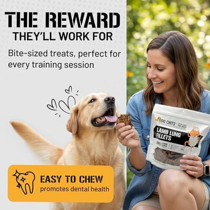 Dog Chits Lamb Lung Fillets Dog and Puppy Treats - Low Fat, High Protein Single Ingredient Dog Treat - Easy to Break Slices - Great for Training - Made in USA, Large 10 oz. Bag