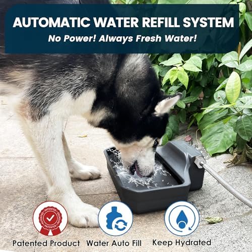 PETIMI Automatic Dog Water Dispenser, 1 Gallon Auto-Fill Dog Water Bowl Dispenser for Indoor/Outdoor, Large Water Feeder for Pets & Livestock, Fits GHT 3/4" Faucet, BPA Free, Easy to Clean, Gray