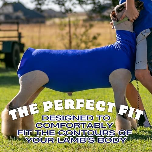 Show Pro Blue Spandex Lamb Tube for Show Sheep & Lamb - Show Livestock Supplies: Sheep Covers & Blankets