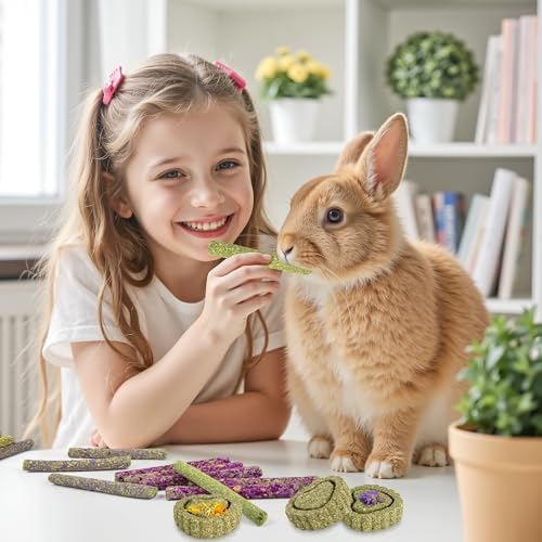 Sofier Timothy Hay Treats Rabbit Toys Bunny Guinea Pig Hamster Natural Chews for Teeth Handmade Rabbit Chews and Treats Chinchilla Rat Gerbil