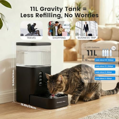 2.9 Gallon Automatic Dog Water Dispenser with Stainless Steel Bowl