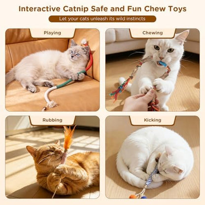 Catnip Toys for Indoor Cats - Silvervine Sticks & Cat Chew Toys for Teeth Cleaning - Refillable Natural Catnip & Silvervine Kit for Kittens & Adult Cats - 8 Pack