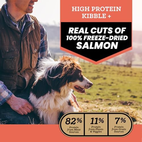 VICTOR Raw Kibble Blend - Salmon Freeze-Dried Dry Dog Food, 20 lb