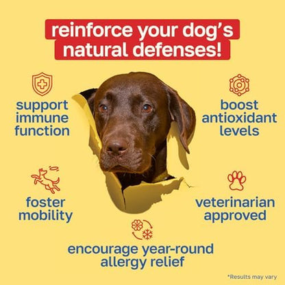 Happy Paws Dog Allergy Chews Supplement 100 Soft Chews Immunity