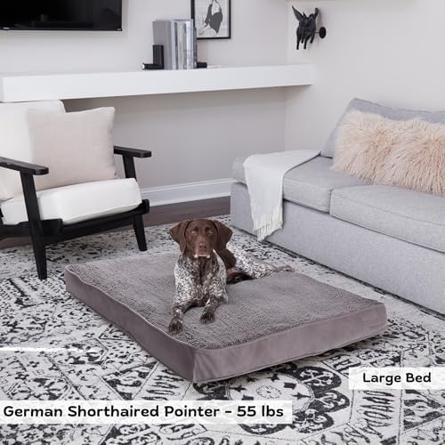 Happy Hounds Daisy Deluxe Supportive Sherpa Dog Bed, Large (48 x 36 in.), Pewter