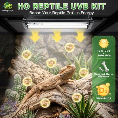 UVB Light for Reptiles 12in 8W T5 HO 10.0 UVB Kit w/Bulb Dragon Tank