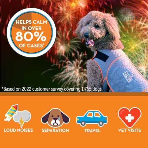 ThunderShirt for Dogs Calming Anxiety Vest, Medium, Platinum Sport