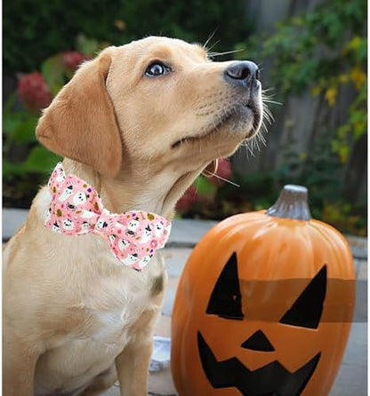Lionheart Glory Halloween Dog Collar Bowtie - Heavy Duty & Adjustable - Fall Holiday Collar for Large Dogs - Female or Male - Gift