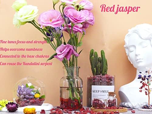 Red Jasper Aquarium Gravel Rocks Natural Tumbled Healing Crystal Chips Bulk Gemstones Tumbled Crushed Stones for Fountain Vase Filler Planters Decorative Fish Tank Potted Reiki Energy Balancing 0.44lb