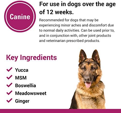 Vet Classics Pain Plus Extra Strength Dog Supplement - 120 Tablets