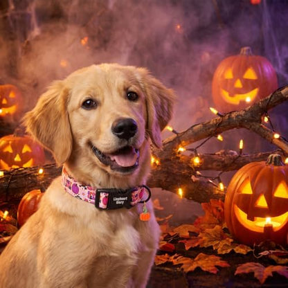 Fall Dog Collar, Halloween Pumpkin Floral Design Pet Collar for Small Dogs